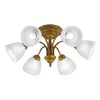 Люстра потолочная 6 плафонов S2116-6