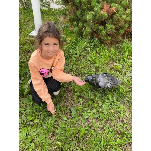 Ворон из металла S4031 дизайнерский